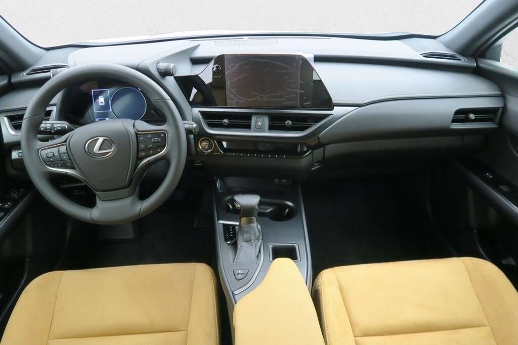 Lexus UX 250H BUSINESS 2.0 HYBRID 184 CV AUTO 5P 15