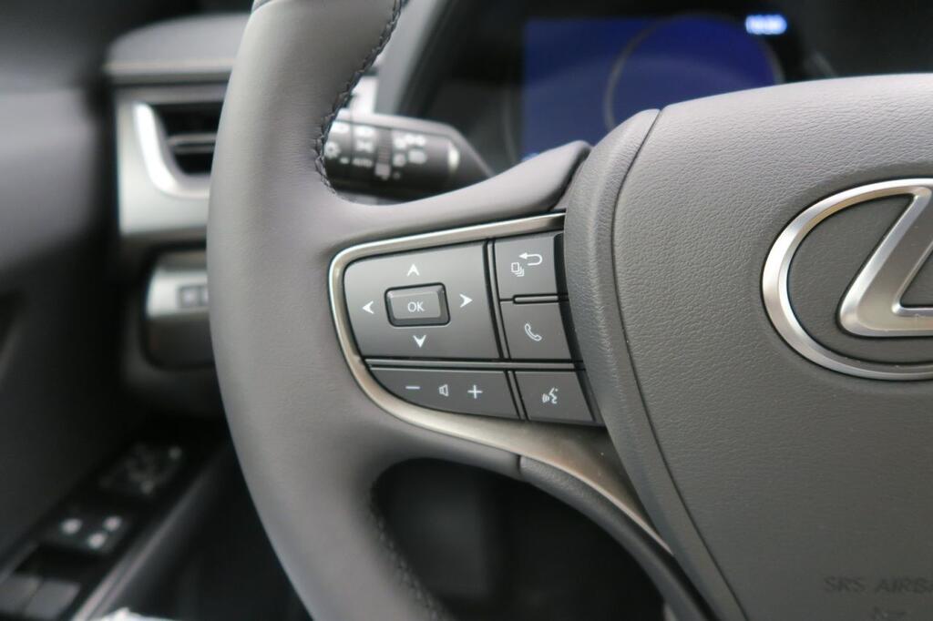 Lexus UX 250H BUSINESS 2.0 HYBRID 184 CV AUTO 5P 12