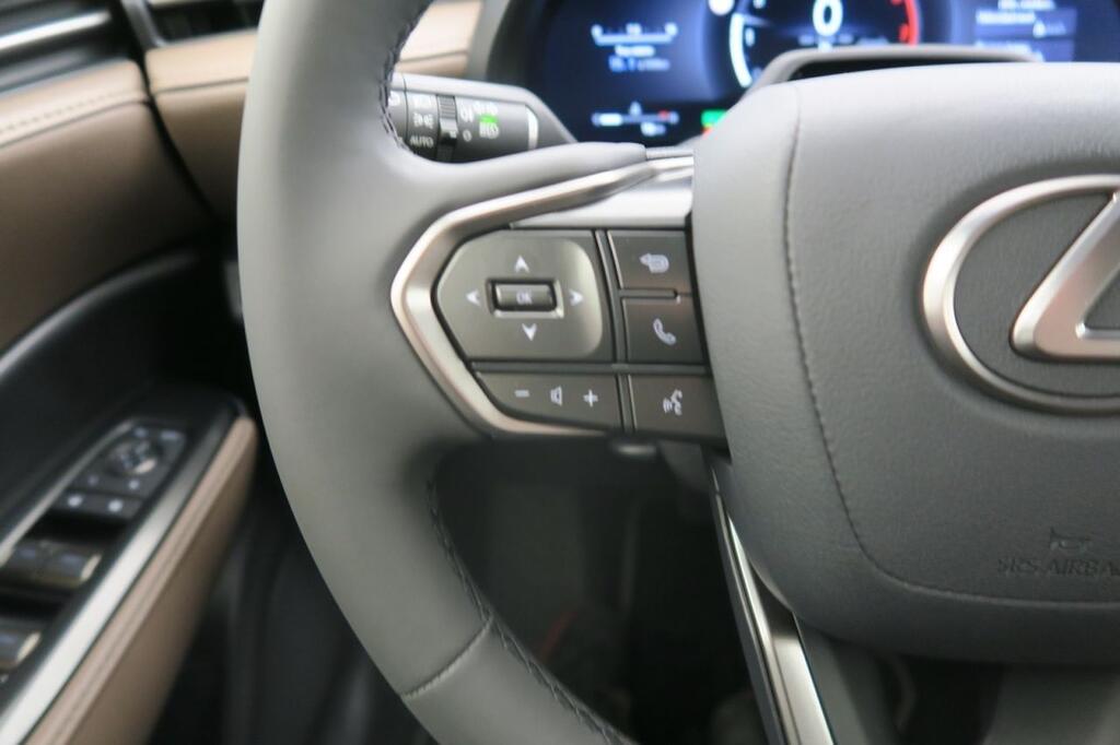 Lexus LBX ELEGANT PLUS 1.5 HYBRID 136 CV AUTO 5P 13