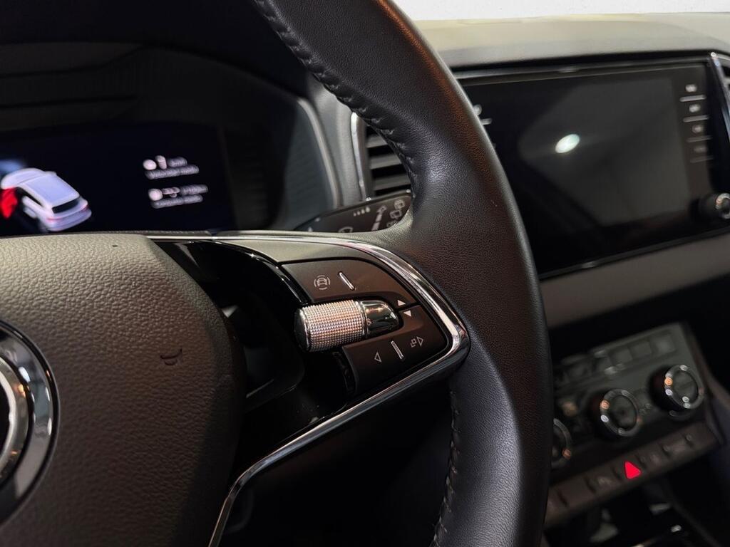 Skoda Karoq 2.0 TDI 85kW (115CV) Ambition 10