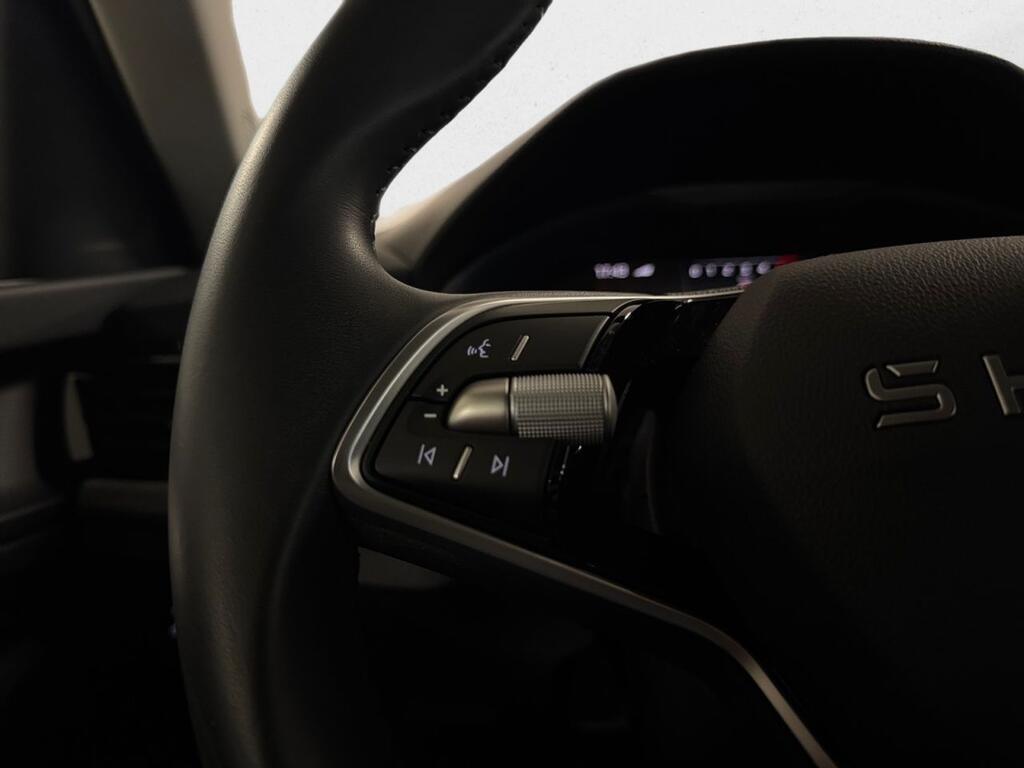 Skoda Kamiq 1.0 TSI 85kW (115CV) DSG SELECTION 9