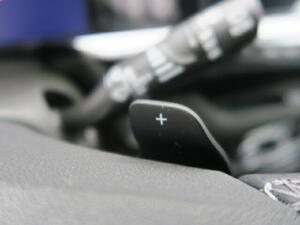 Opel Grandland 1.6 Turbo PHEV GSe Auto 221kW/300CV 11