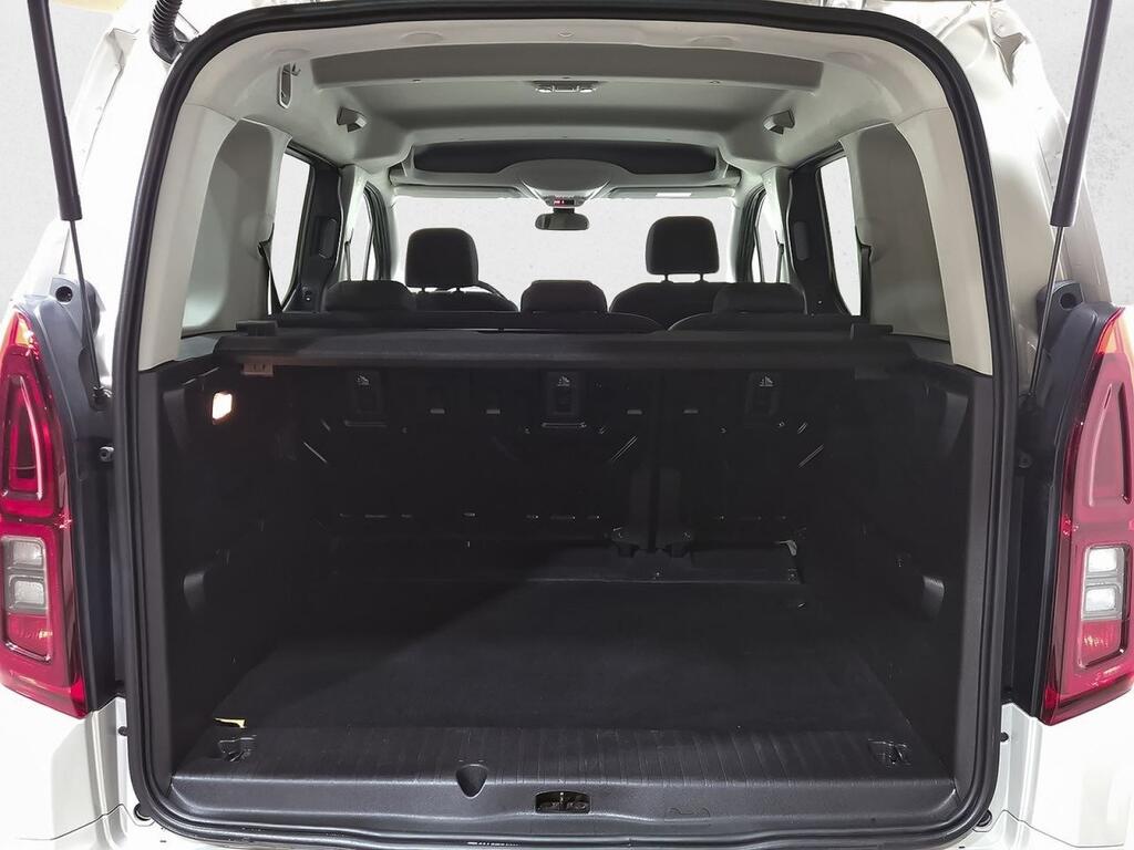 Opel Combo Cargo 1.5 TD 75kW (100CV) S/S Elegance XL 9