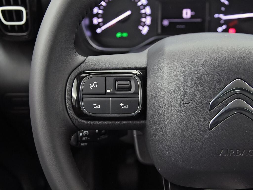 Citroën C3 Aircross PureTech 81kW (110CV) Plus 13