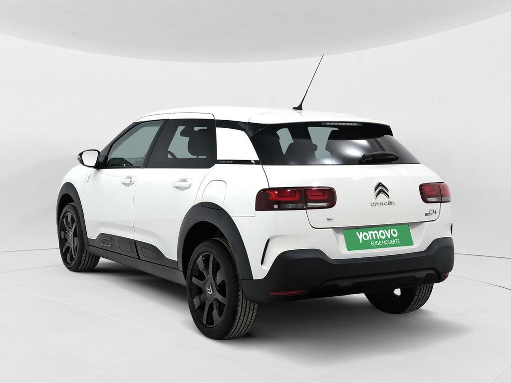 Citroën C4 Cactus BlueHDi 100 S&S Origins 2