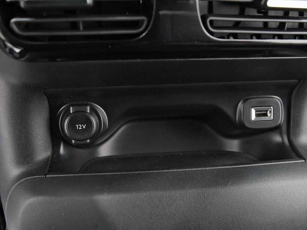 Citroën C4 Cactus BlueHDi 100 S&S Origins 24