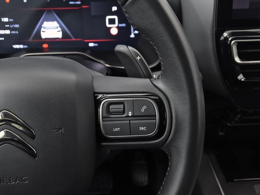 Citroën C5 Aircross BlueHdi 96kW (130CV) S&S EAT8 C Series 19