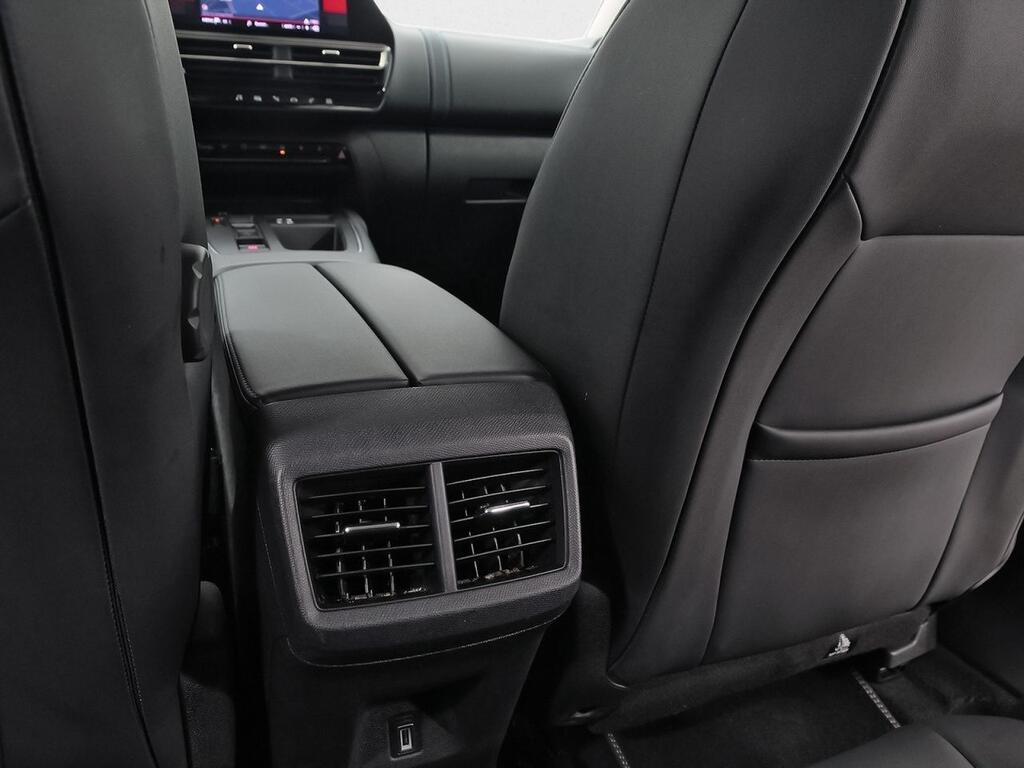 Citroën C5 Aircross BlueHdi 96kW (130CV) S&S EAT8 C Series 31