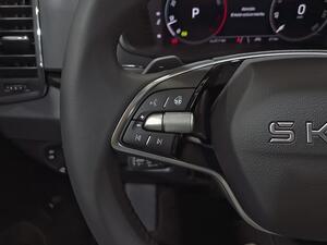 Skoda Karoq 1.5 TSI 110kW (150CV) DSG ACT Plus 26