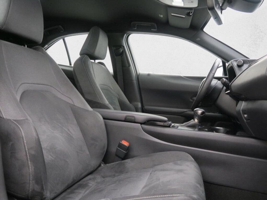 Lexus UX 250H BUSINESS 2.0 HYBRID 184 CV AUTO 5P 15
