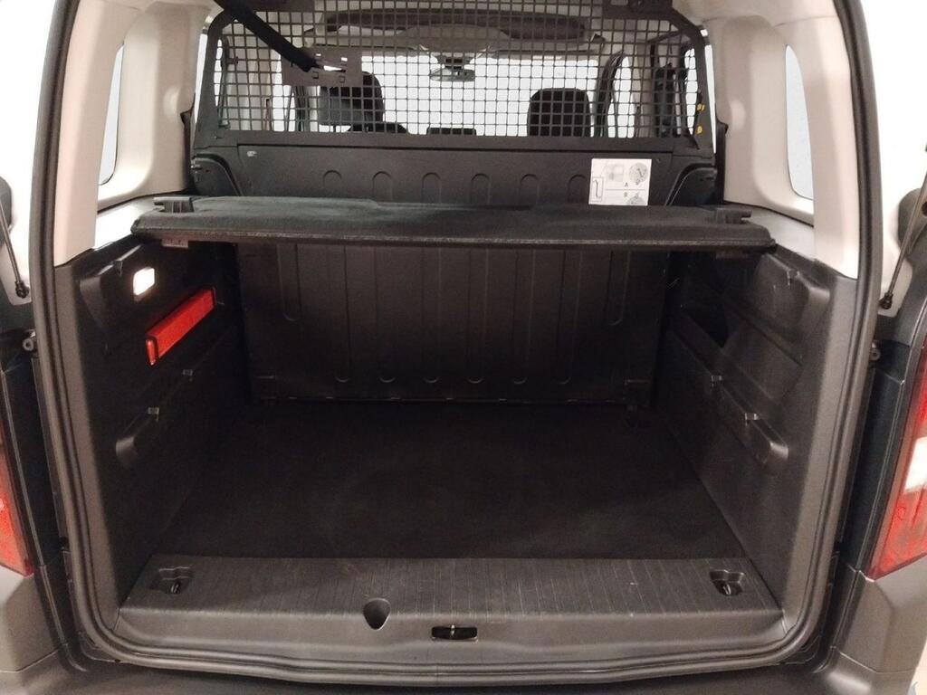 Peugeot Rifter ACTIVE PACK BUSINESS 1.5 BLUEHDI 100 CV STD 5P 15