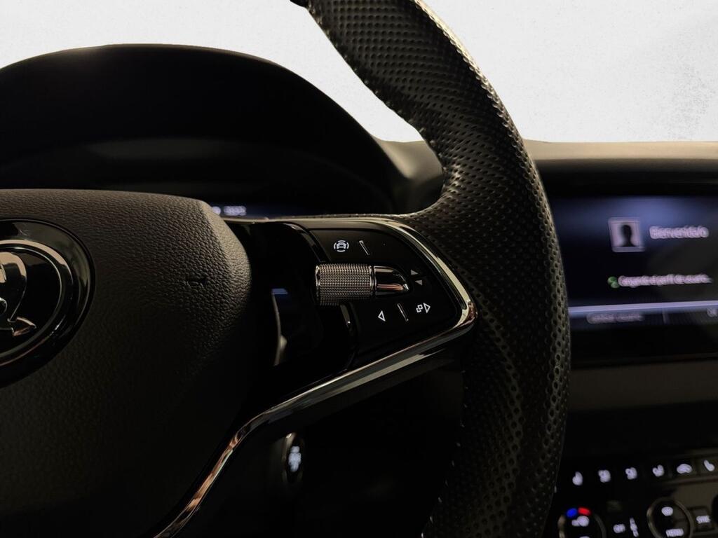 Skoda Karoq 2.0 TSI 140kW (190CV) DSG 4X4 Sportline 10