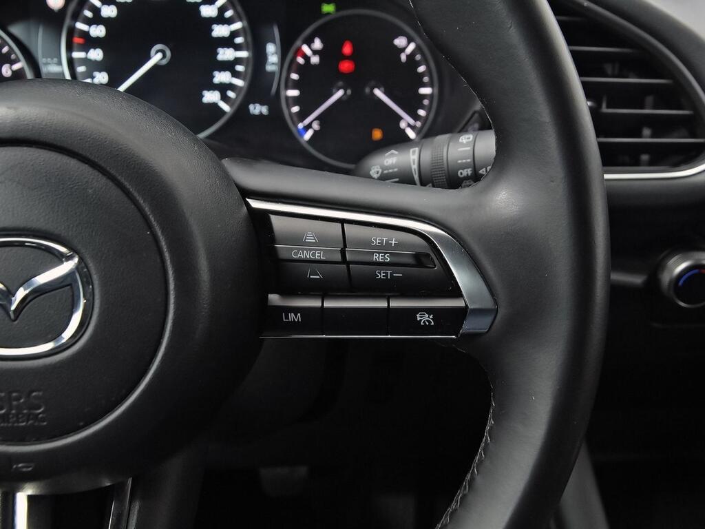 Mazda 3 2.5L E-SKY G MHEV 103kW Prime-line 19