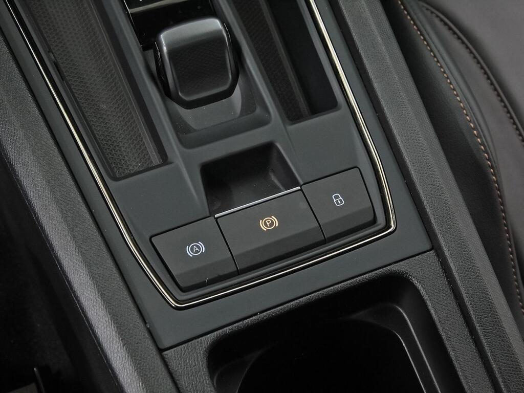 Cupra Formentor 2.5 TSI 287kW (390 CV) VZ5 4Drive DSG 34