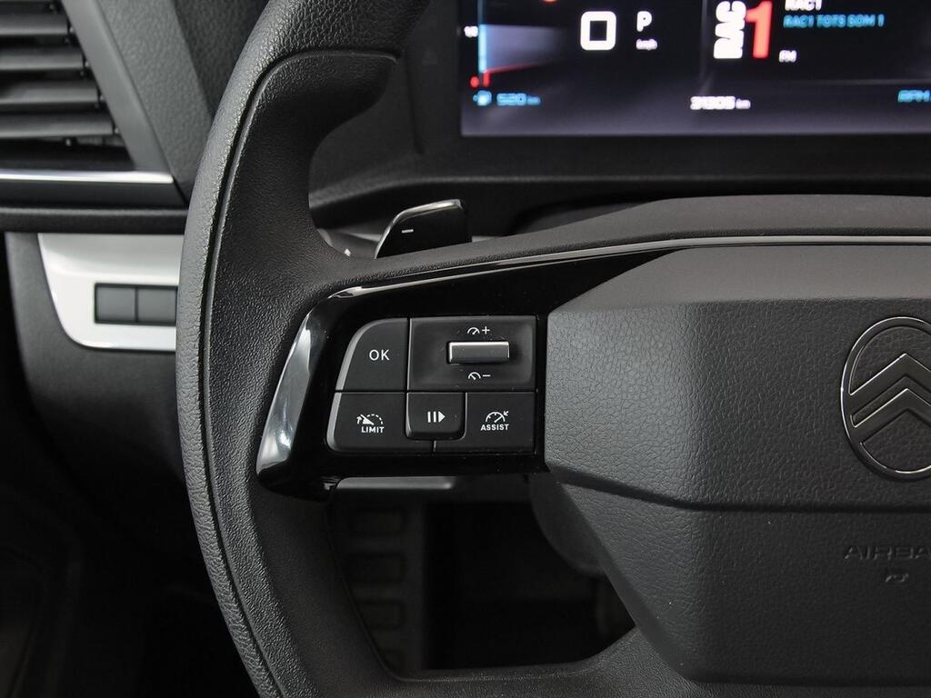 Citroën Spacetourer Business Talla M BlueHDi 180 S&S EAT8 19