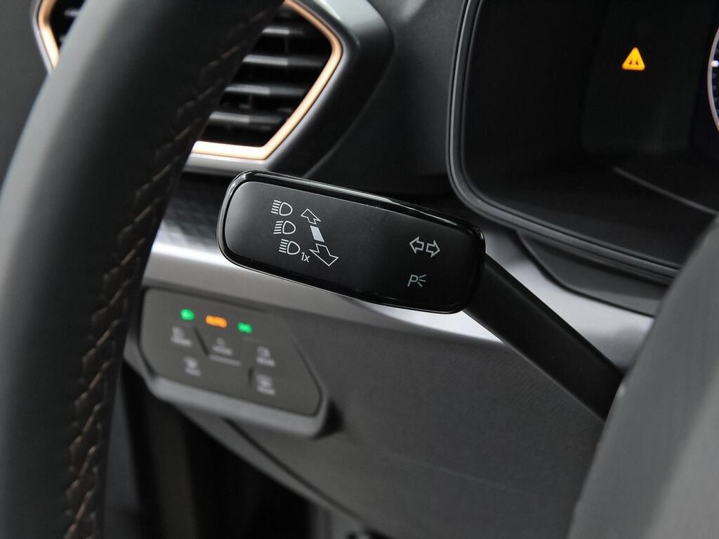 Cupra León SP 2.0 TSI 245kW (333CV) VZ DSG 4WD 15