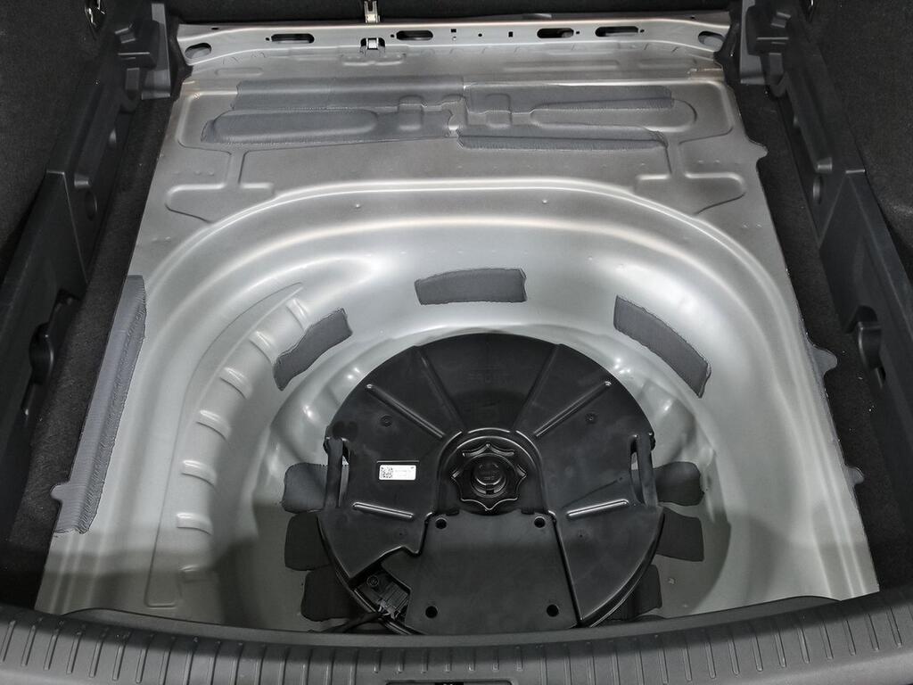 Cupra León SP 2.0 TSI 245kW (333CV) VZ DSG 4WD 39