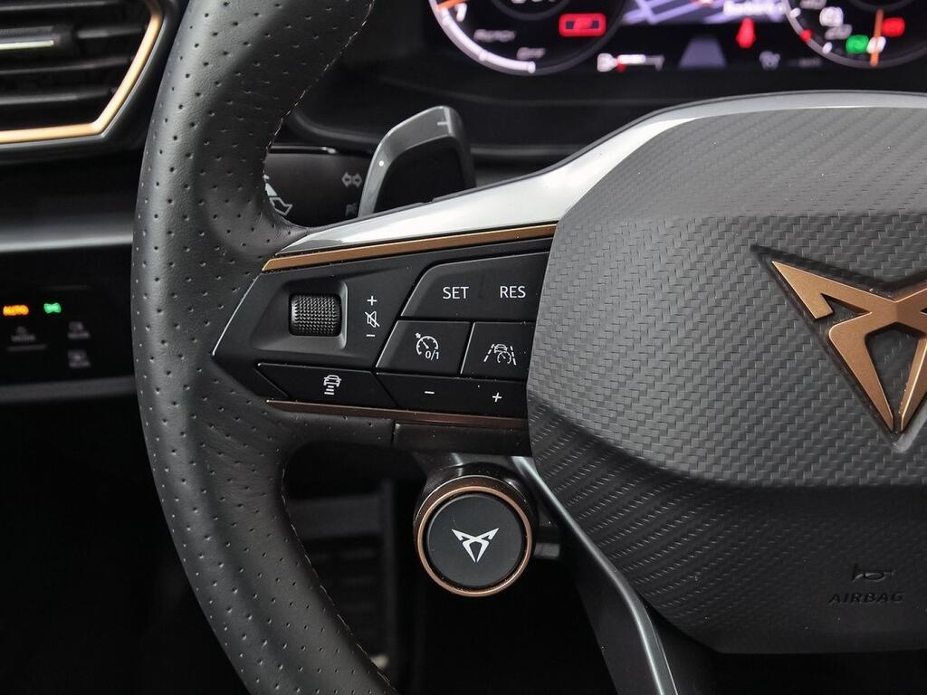 Cupra Formentor 2.0 TSI 228kW) 4Drive DSG L Ed Petrol M 17