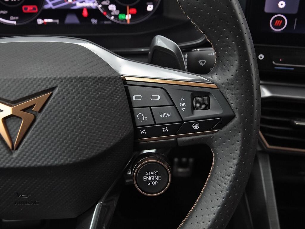 Cupra Formentor 2.0 TSI 228kW) 4Drive DSG L Ed Petrol M 18