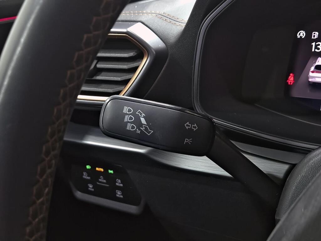 Cupra Formentor 2.0 TDI 110kW (150 CV) 14