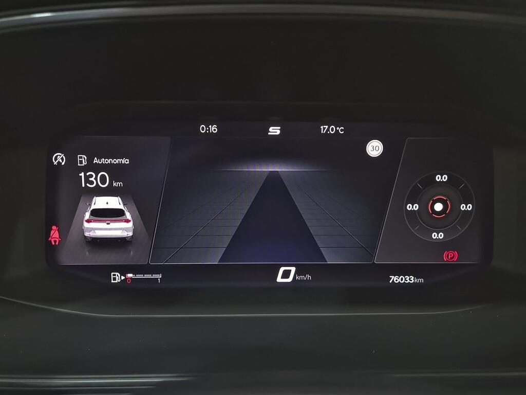 Cupra Formentor 2.0 TDI 110kW (150 CV) 13