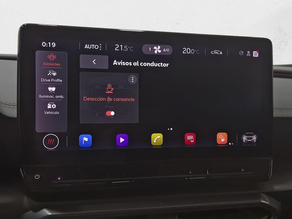 Cupra Formentor 2.0 TDI 110kW (150 CV) 28