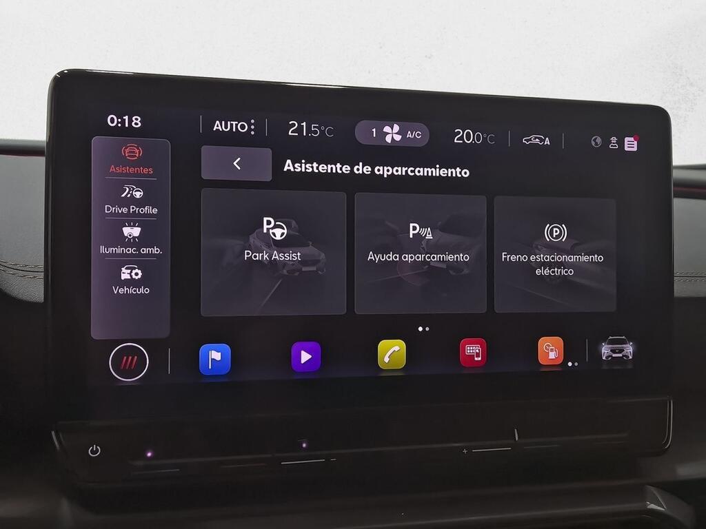 Cupra Formentor 2.0 TDI 110kW (150 CV) 23