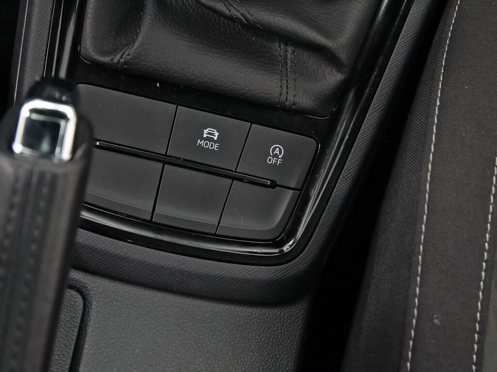 Skoda Kamiq 1.0 TSI 81kW (110CV) SCOUT 29