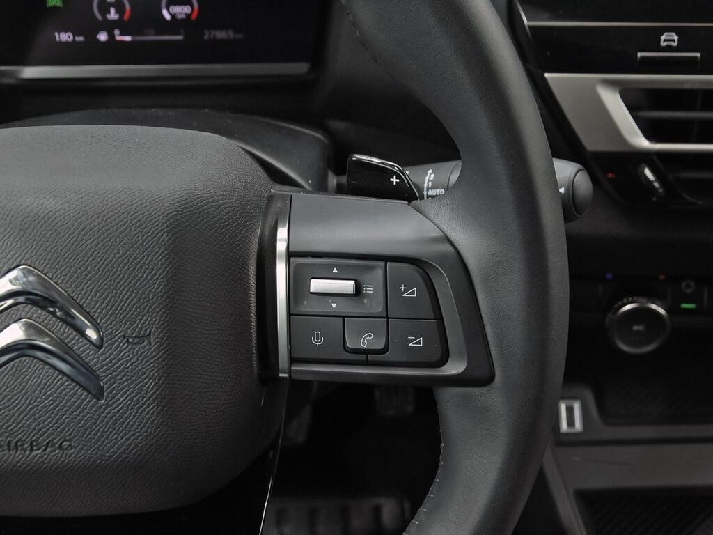 Citroën C4 BlueHDi 130 S&S EAT8 Plus 19