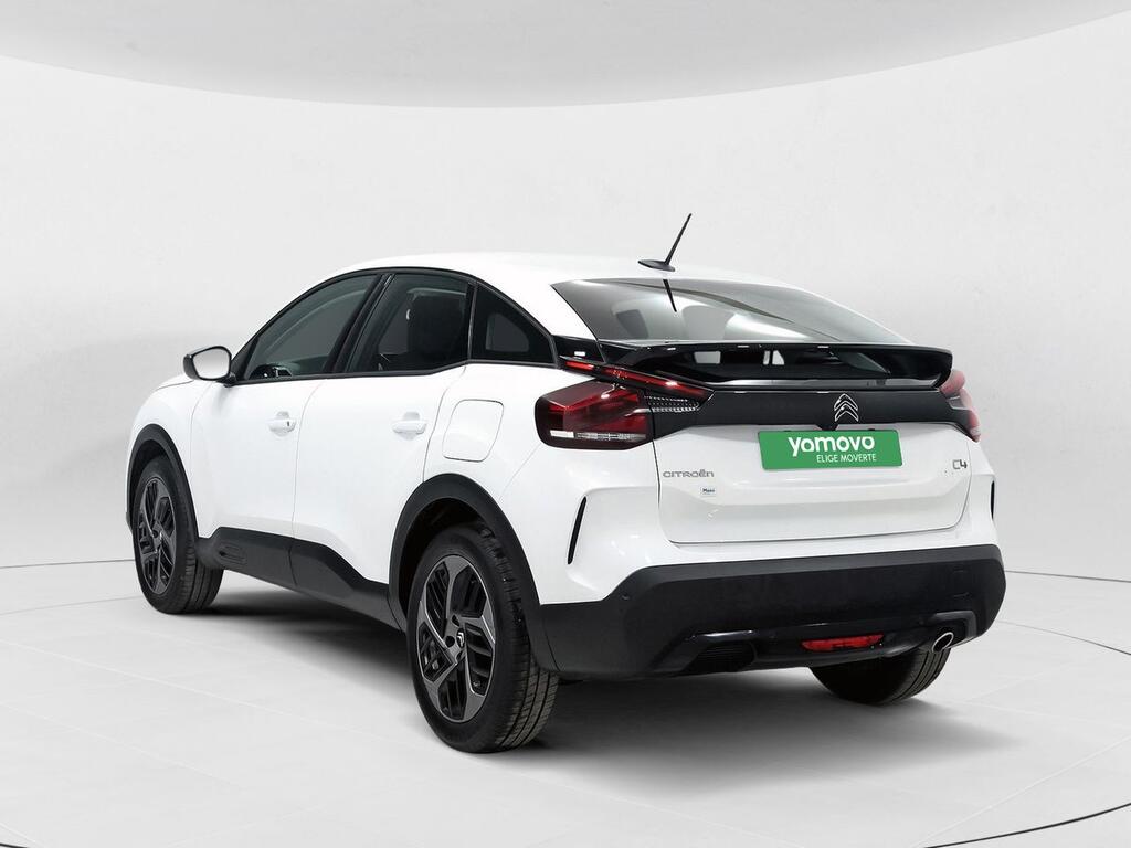 Citroën C4 BlueHDi 130 S&S EAT8 Plus 2