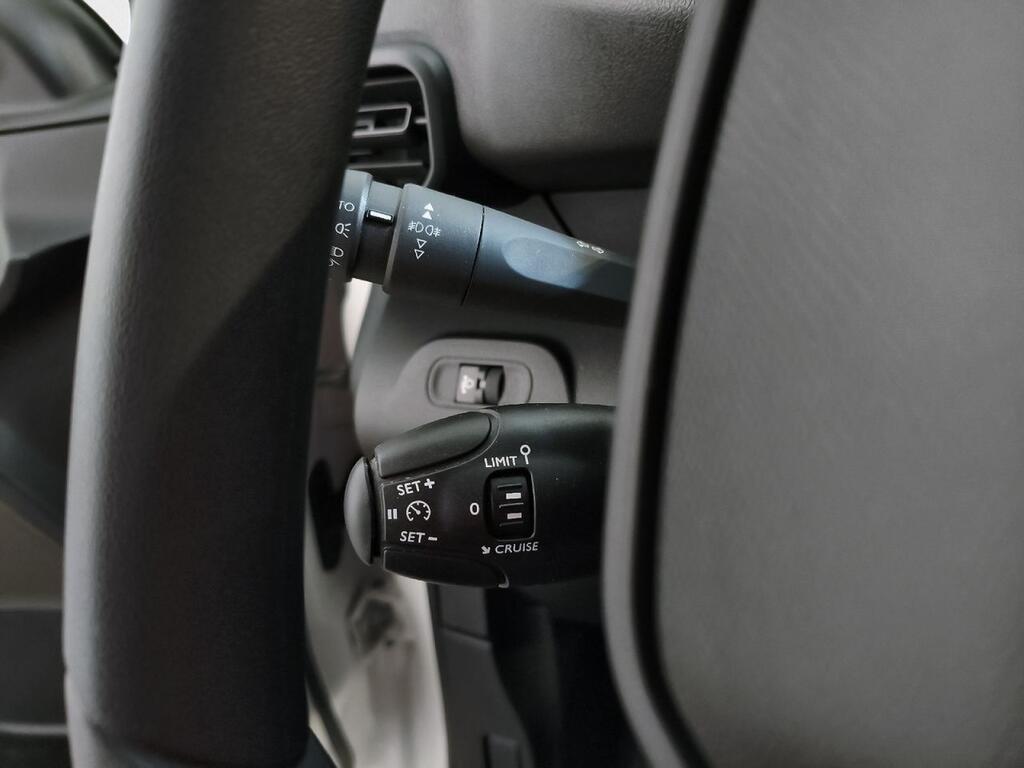 Peugeot Partner 1.5 BLUEHDI 130 4WD DANGEL STANDARD DC 4P 13