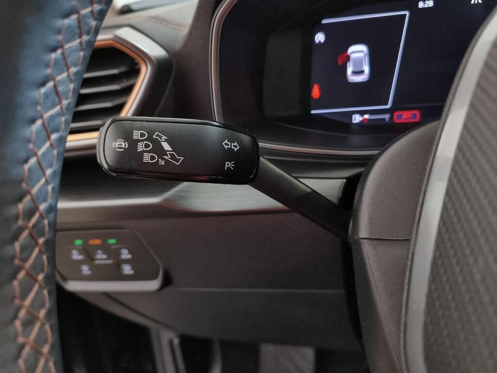 Cupra Formentor 1.5 TSI 110kW (150 CV) DSG 29