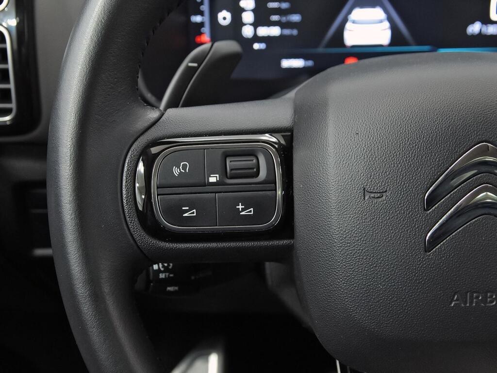 Citroën C5 Aircross BlueHdi 96kW (130CV) S&S EAT8 Shine 19