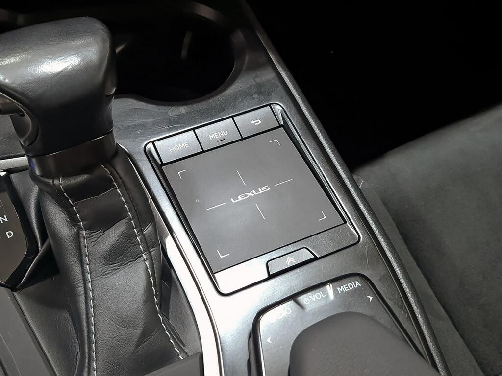 Lexus UX 250H PREMIUM 2.0 HYBRID 184 CV AUTO 5P 31