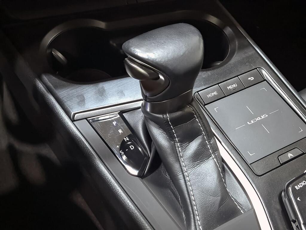 Lexus UX 250H PREMIUM 2.0 HYBRID 184 CV AUTO 5P 30