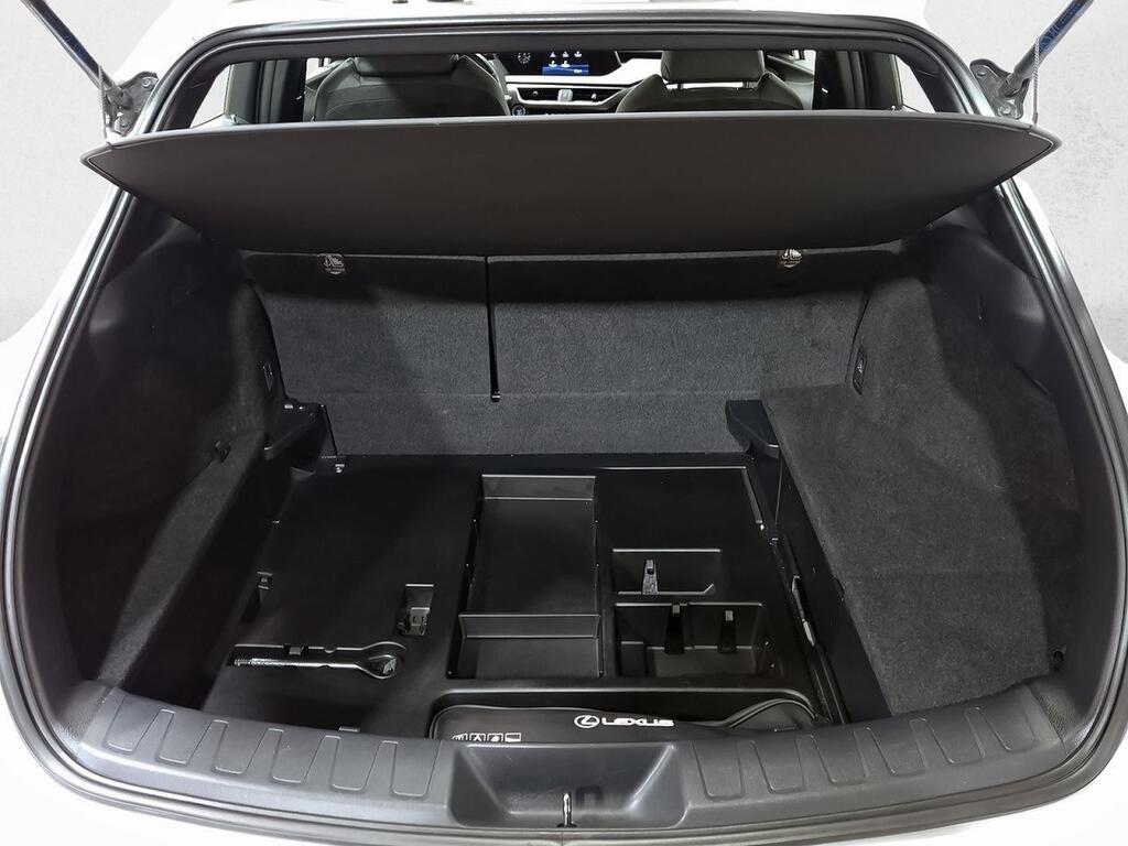 Lexus UX 250H PREMIUM 2.0 HYBRID 184 CV AUTO 5P 39