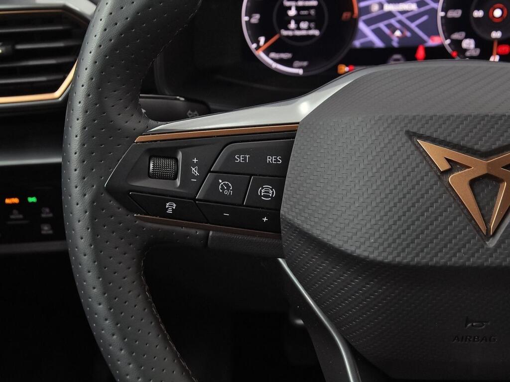 Cupra Formentor 1.5 TSI 110kW (150 CV) 15