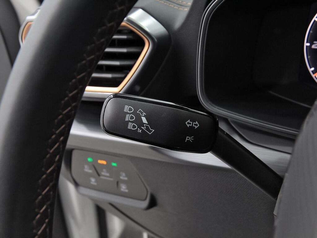 Cupra Formentor 1.5 TSI 110kW (150 CV) 13