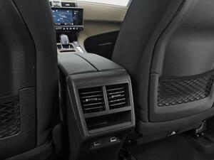 DS DS 7 BlueHDi DE 96kW (130CV) Auto. Bastille 31