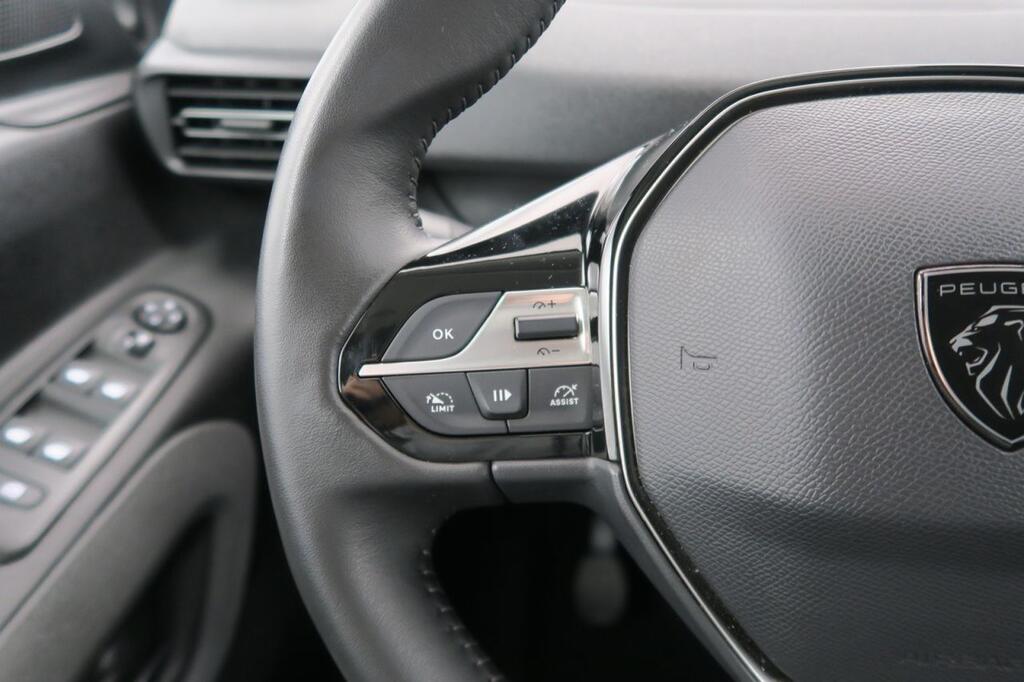 Peugeot Rifter 1.5 BLUEHDI 100CV ALLURE BUSINESS STD 4P 13