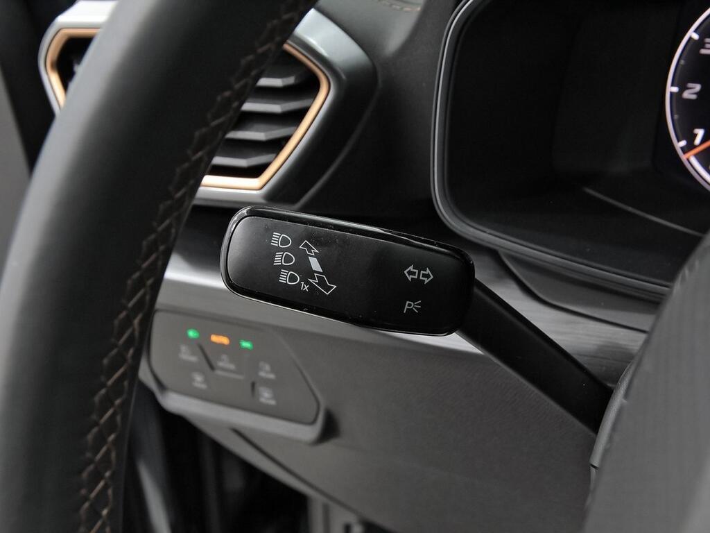 Cupra Formentor 1.5 TSI 110kW (150 CV) 13