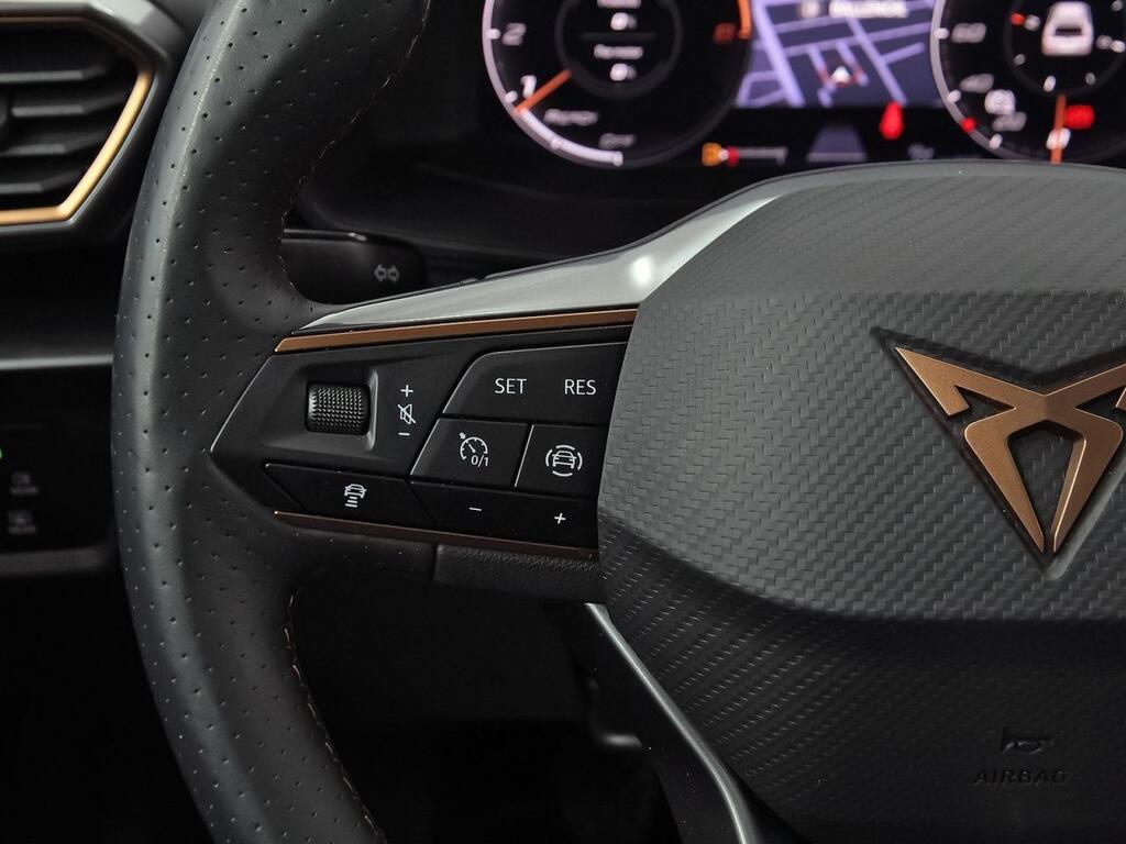 Cupra Formentor 1.5 TSI 110kW (150 CV) 15