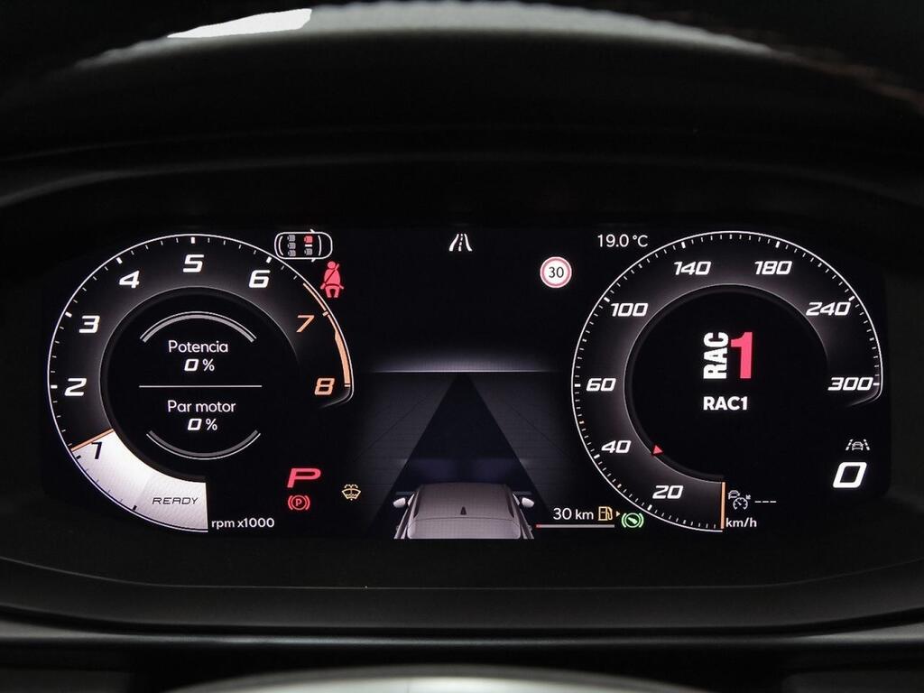Cupra Terramar 2.0 TSI 150kW (204 CV) DSG 4 Drive 14