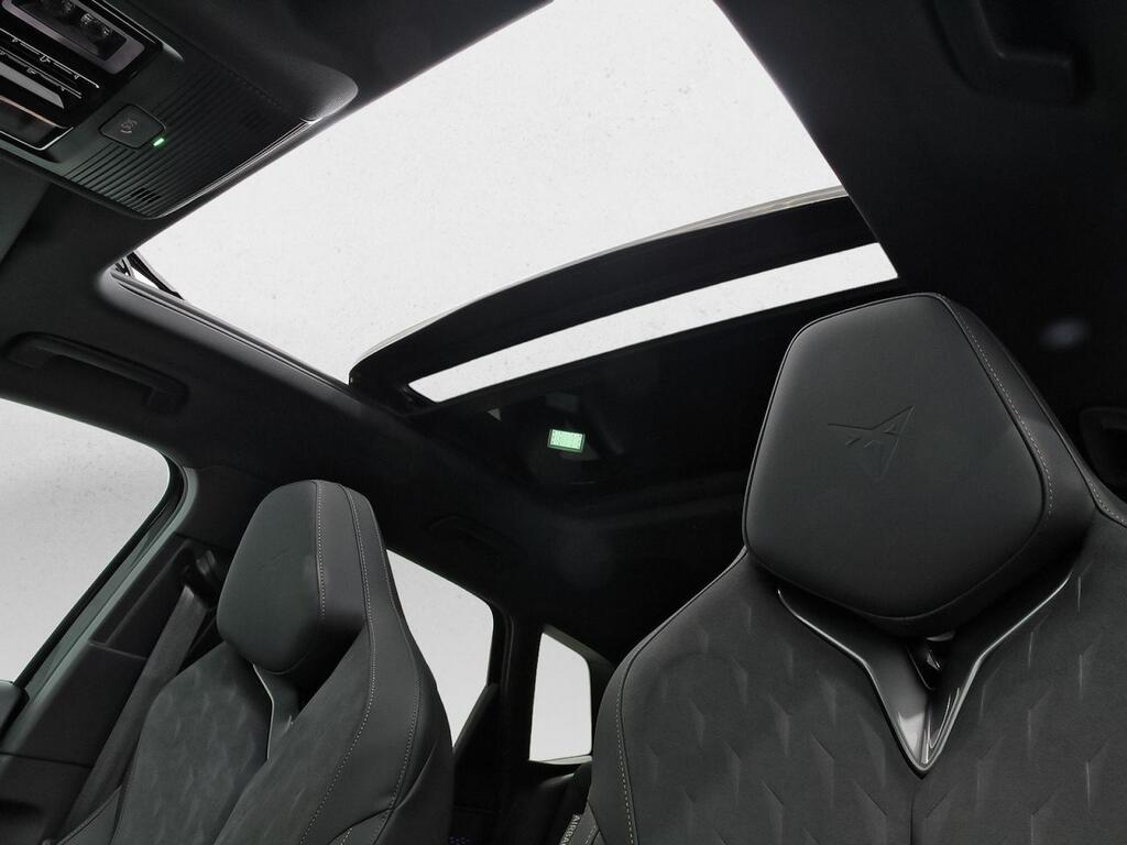 Cupra Terramar 2.0 TSI 150kW (204 CV) DSG 4 Drive 36