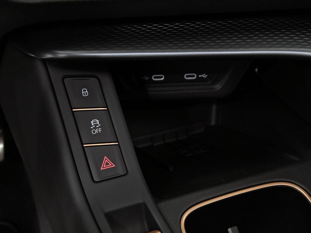 Cupra Terramar 2.0 TSI 150kW (204 CV) DSG 4 Drive 34