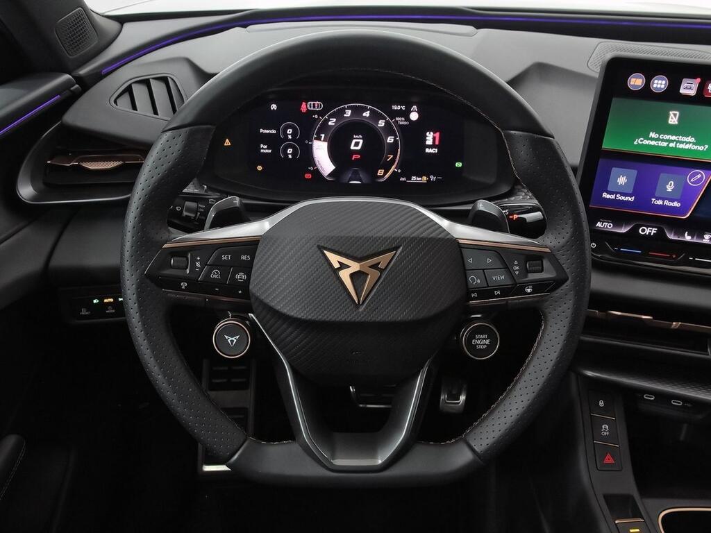 Cupra Terramar 2.0 TSI 150kW (204 CV) DSG 4 Drive 19