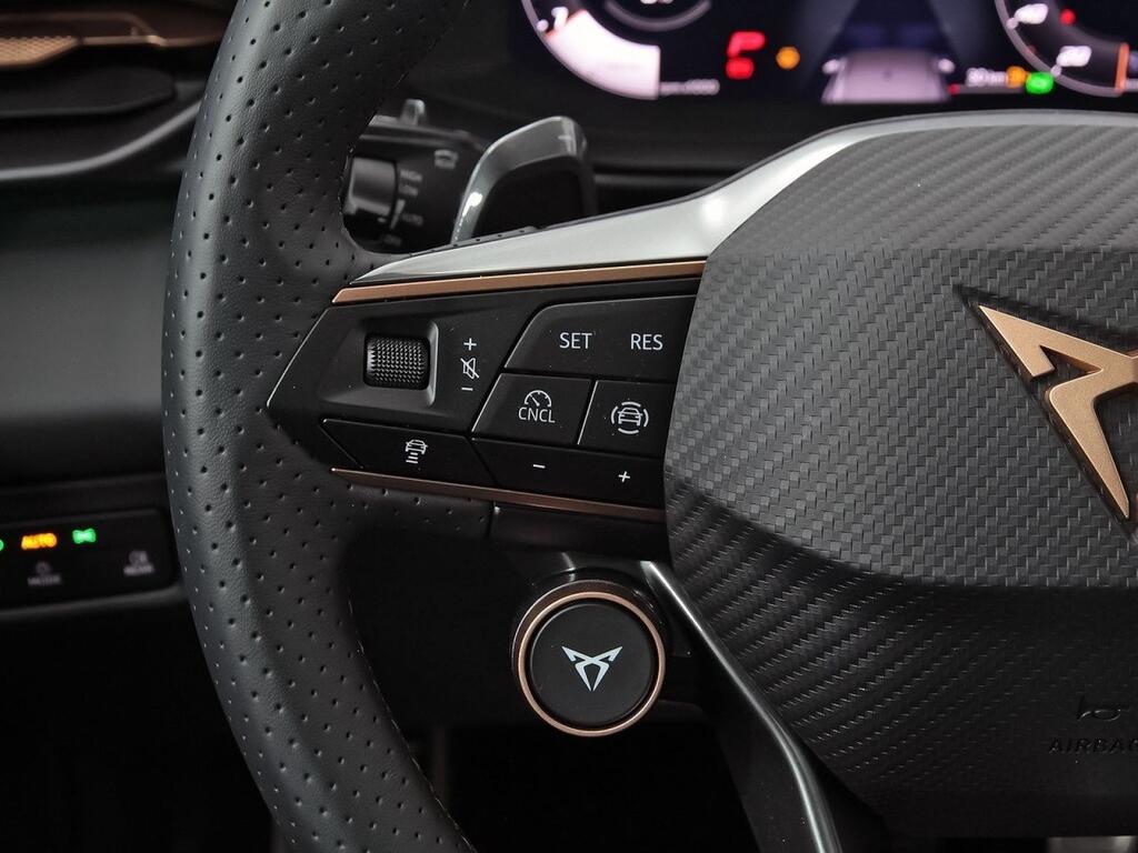 Cupra Terramar 2.0 TSI 150kW (204 CV) DSG 4 Drive 17