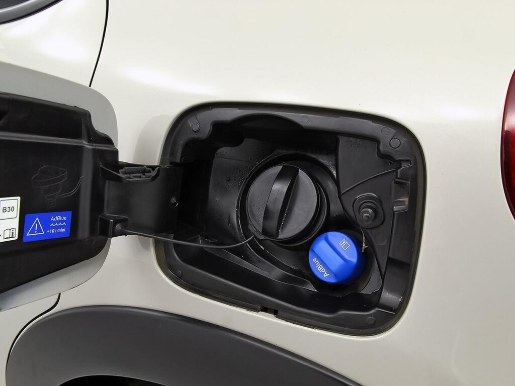 Citroën C3 BlueHDi 75KW (100CV) S&S Shine 33
