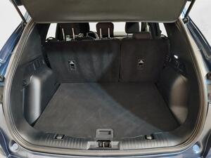Ford Kuga ST-Line 1.5 EcoBlue 88kW (120CV) 9