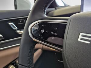 Ebro S900 PHEV 1.5 TGDI 3DHT 4X4 Luxury 19